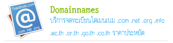 �������� domain name .com .net .org onlinenic �Ҥһ����Ѵ